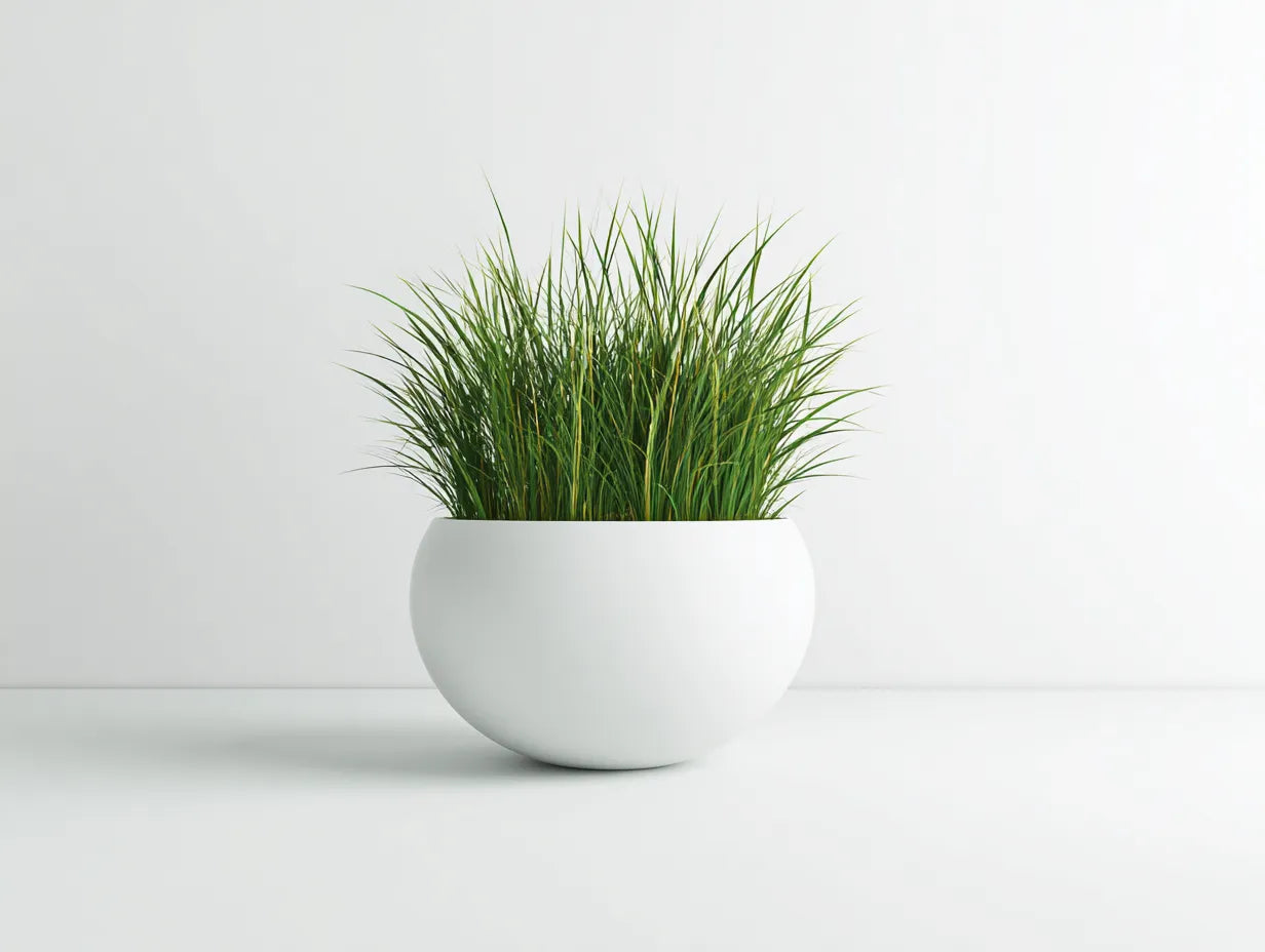 Maceta de cerámica 68×68×31 cm – blanco – jardinera baja para salón
