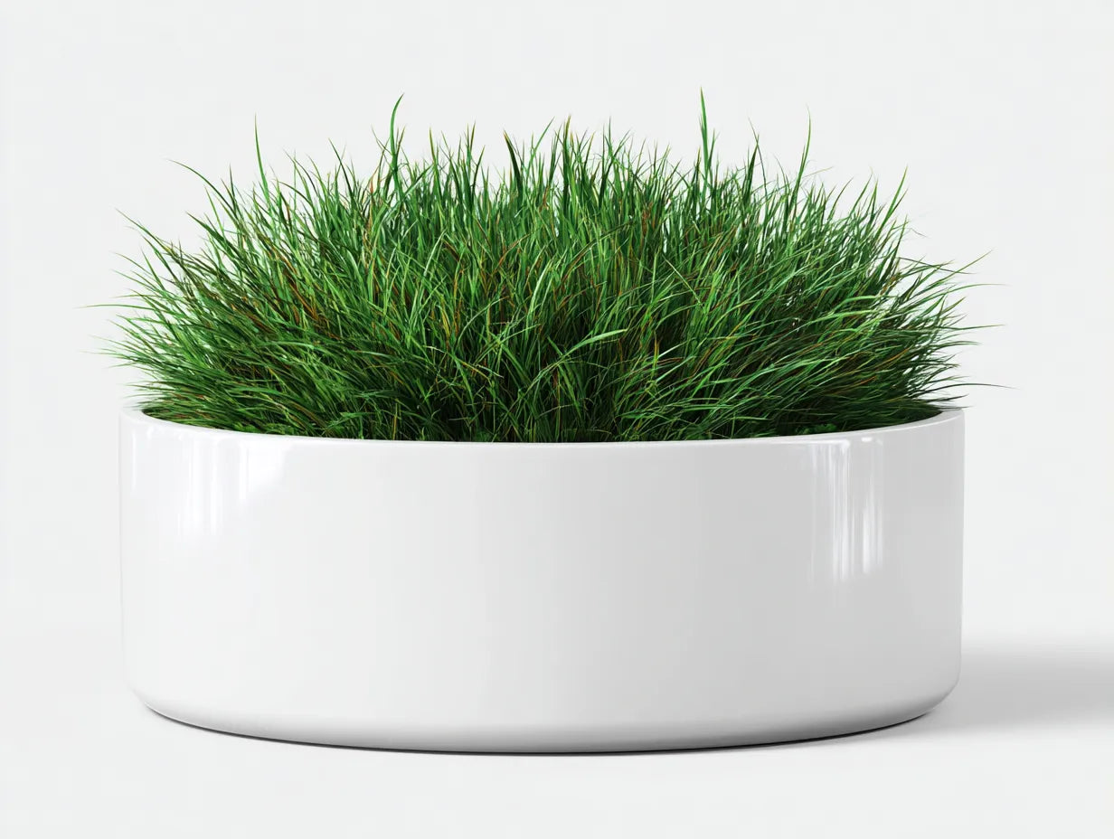 Maceta de cerámica 55×55×32 cm – blanco – diseño ancho para salón
