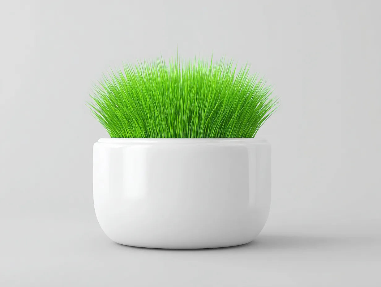 Maceta de cerámica 48×48×31 cm – blanco – cuenco redondo para salón