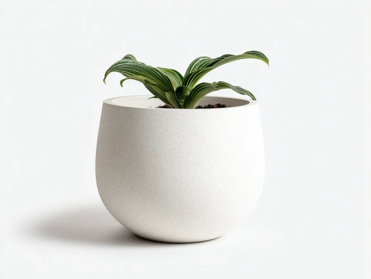 Maceta de cerámica 26 x 26 x 33 cm - blanco cálido - silueta alta para salón
