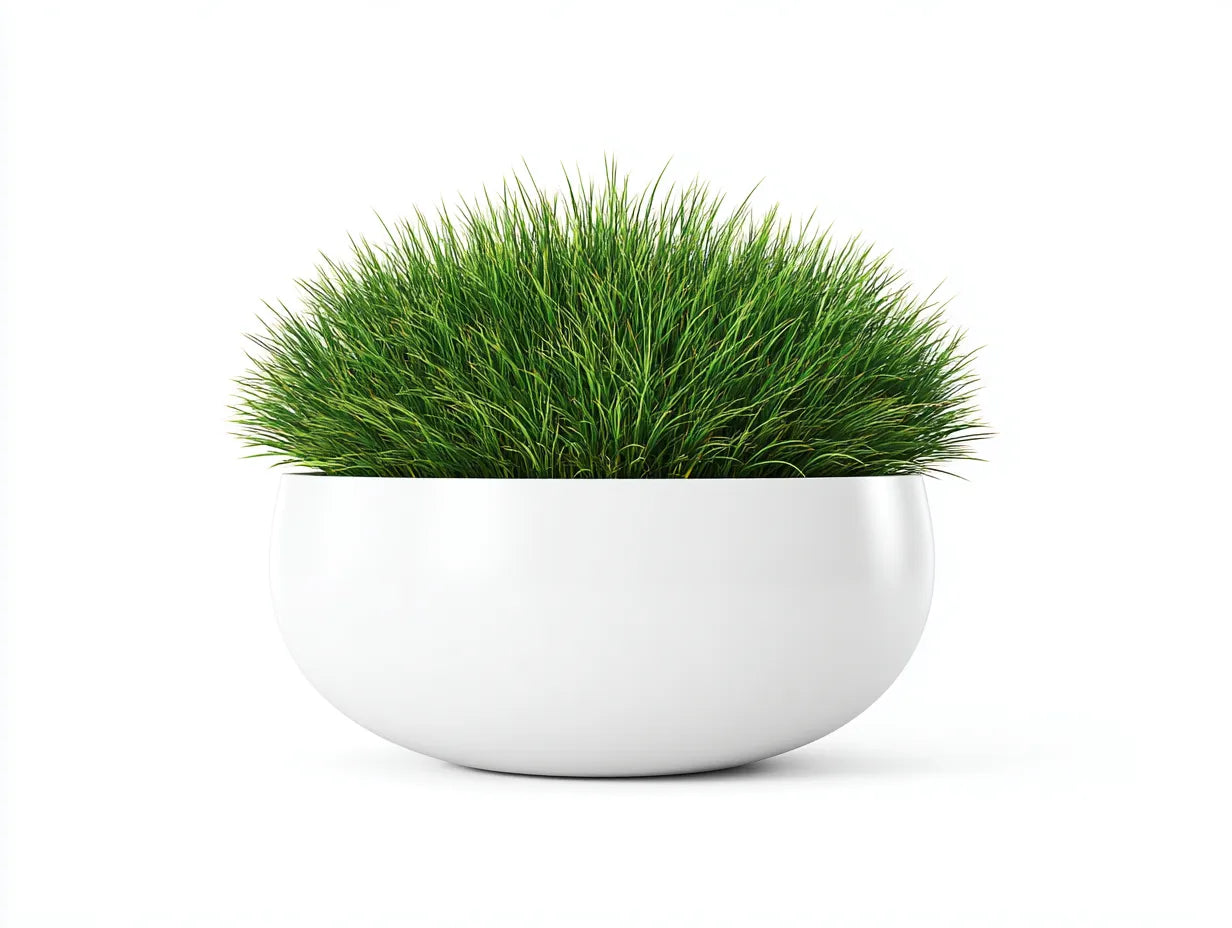 Maceta de cerámica 44×44×35 cm – blanco – borde escalonado para salón